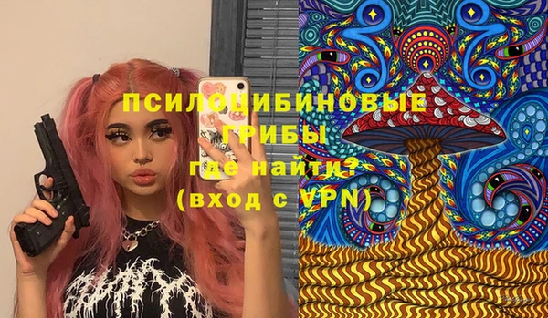 прущая мука Армянск